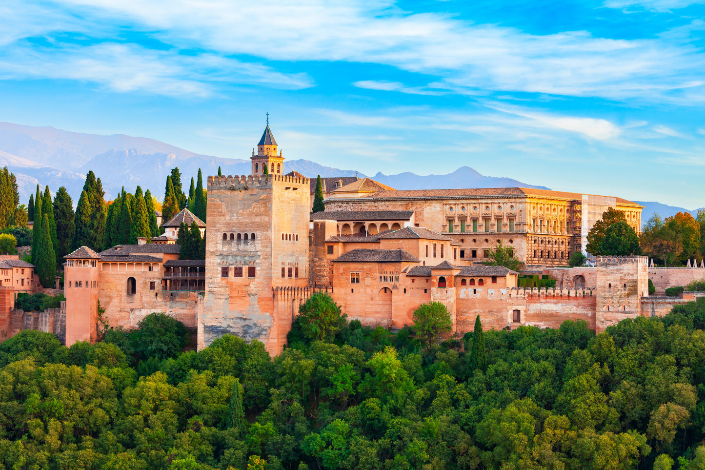 Alhambra Group Tour