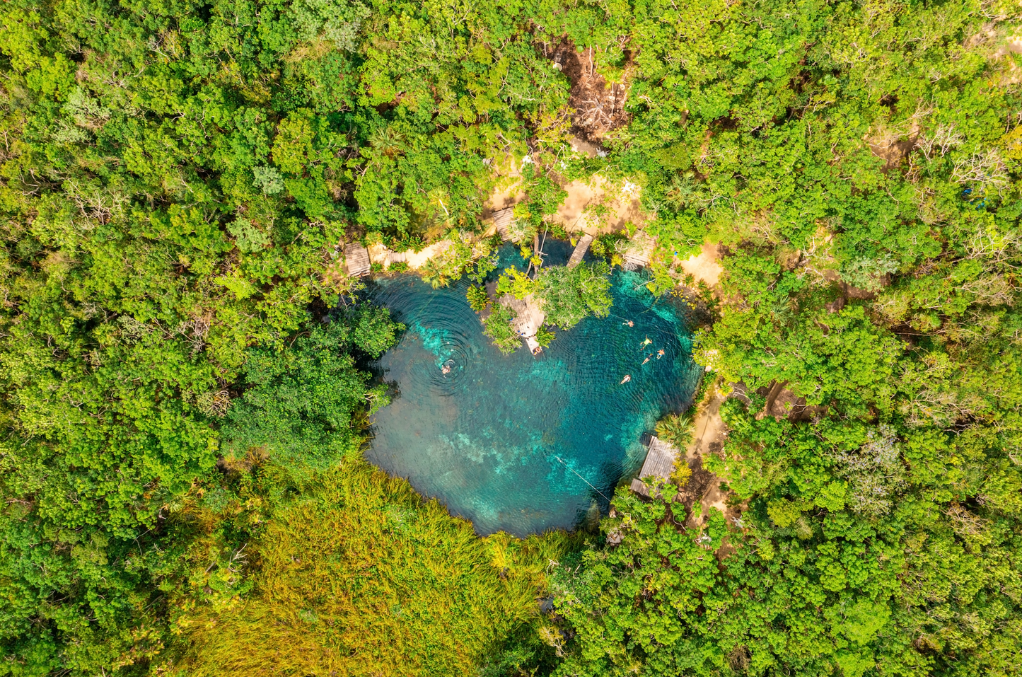 Selva Maya