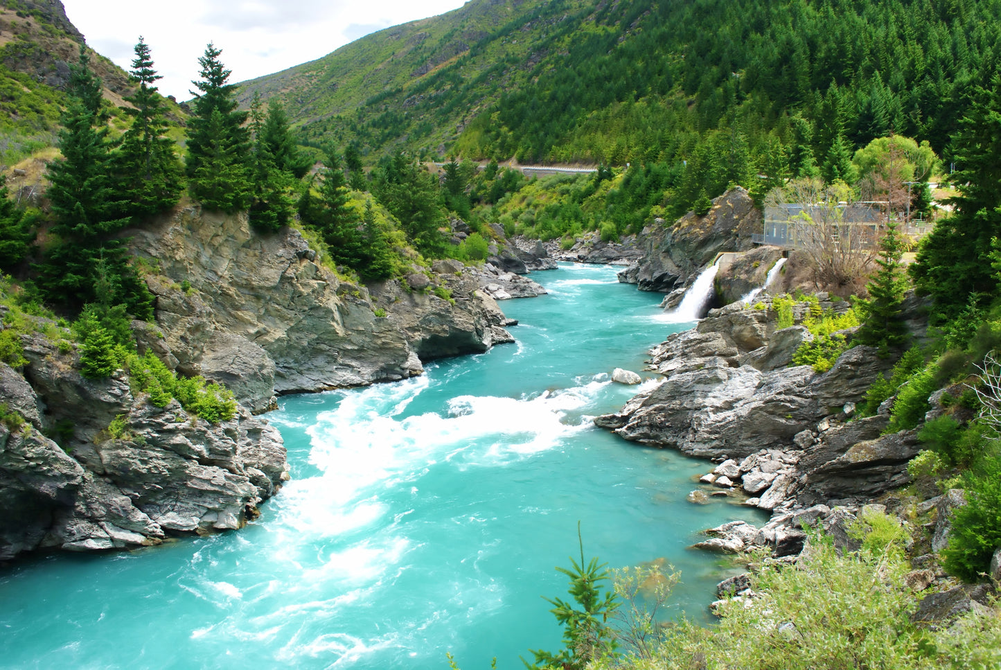 Optional Dart River Jeboat Tour