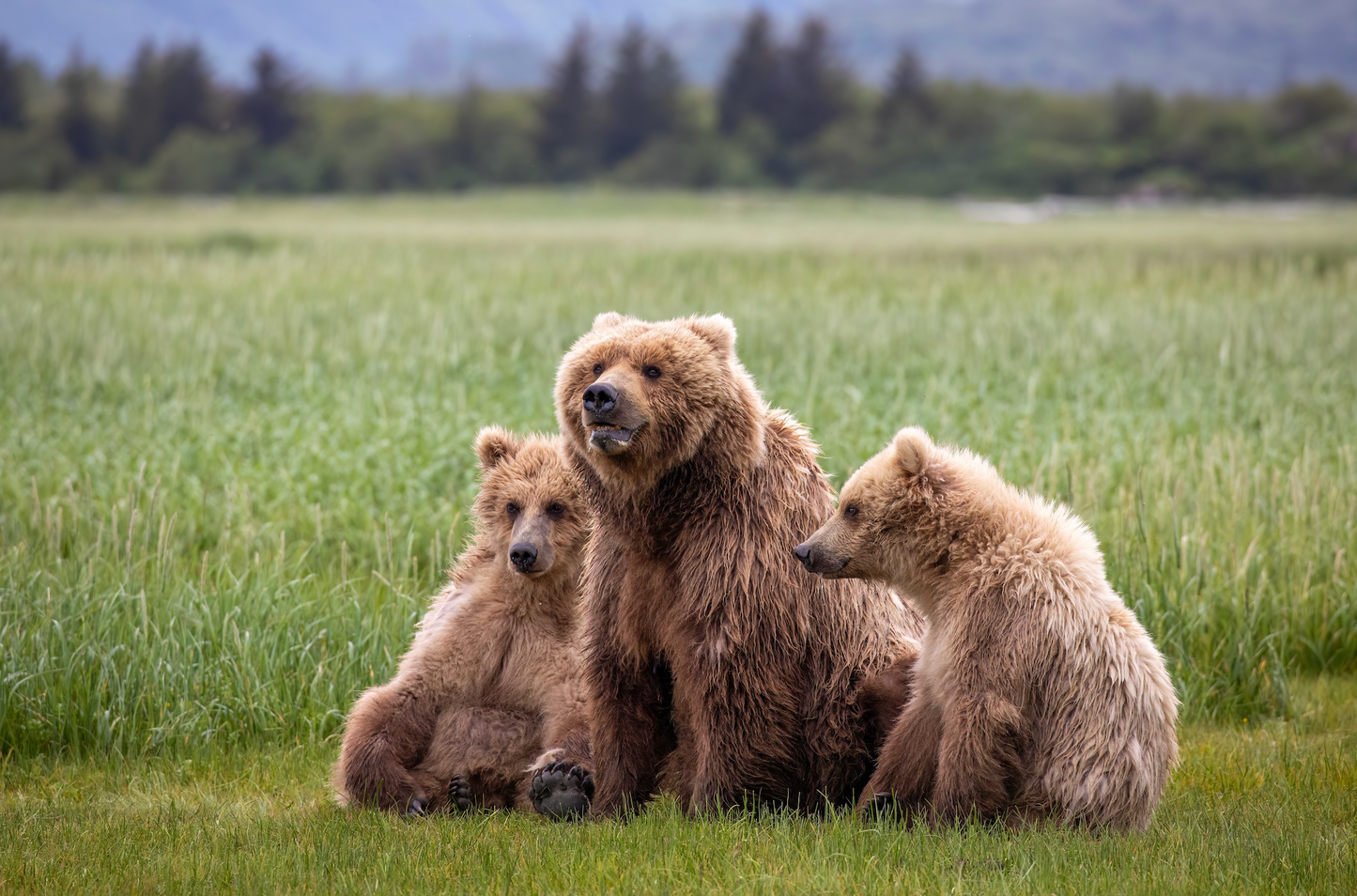 Alaska Travel Tour 518