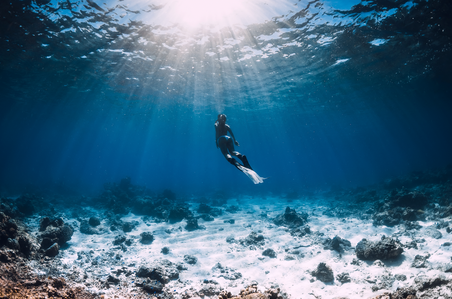 Optional Snorkeling