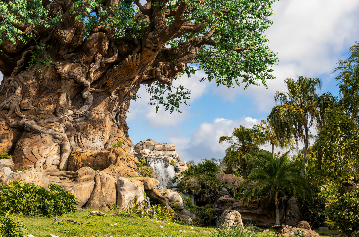 Disney Animal Kingdom