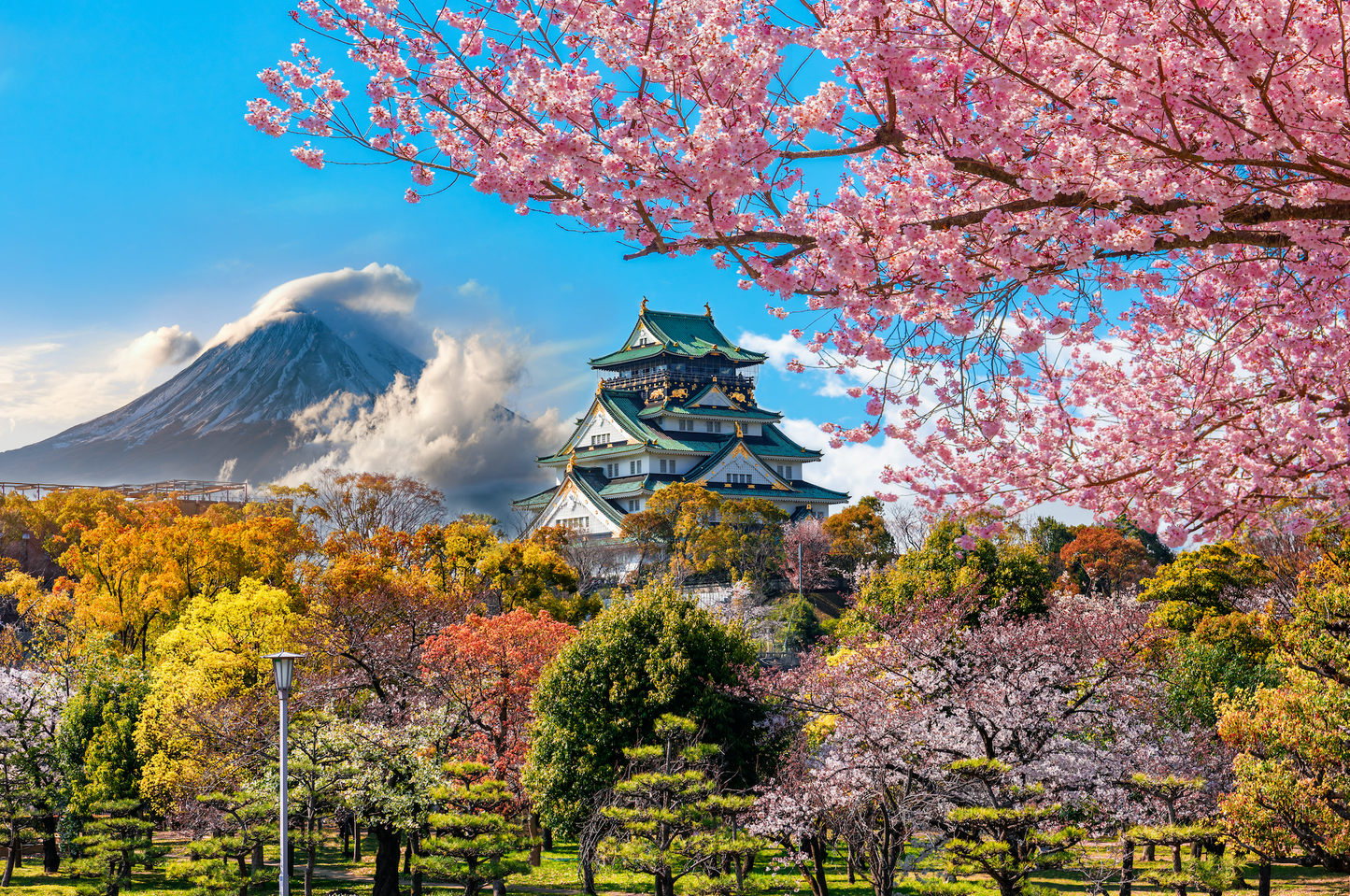 Japan Travel Tour 103