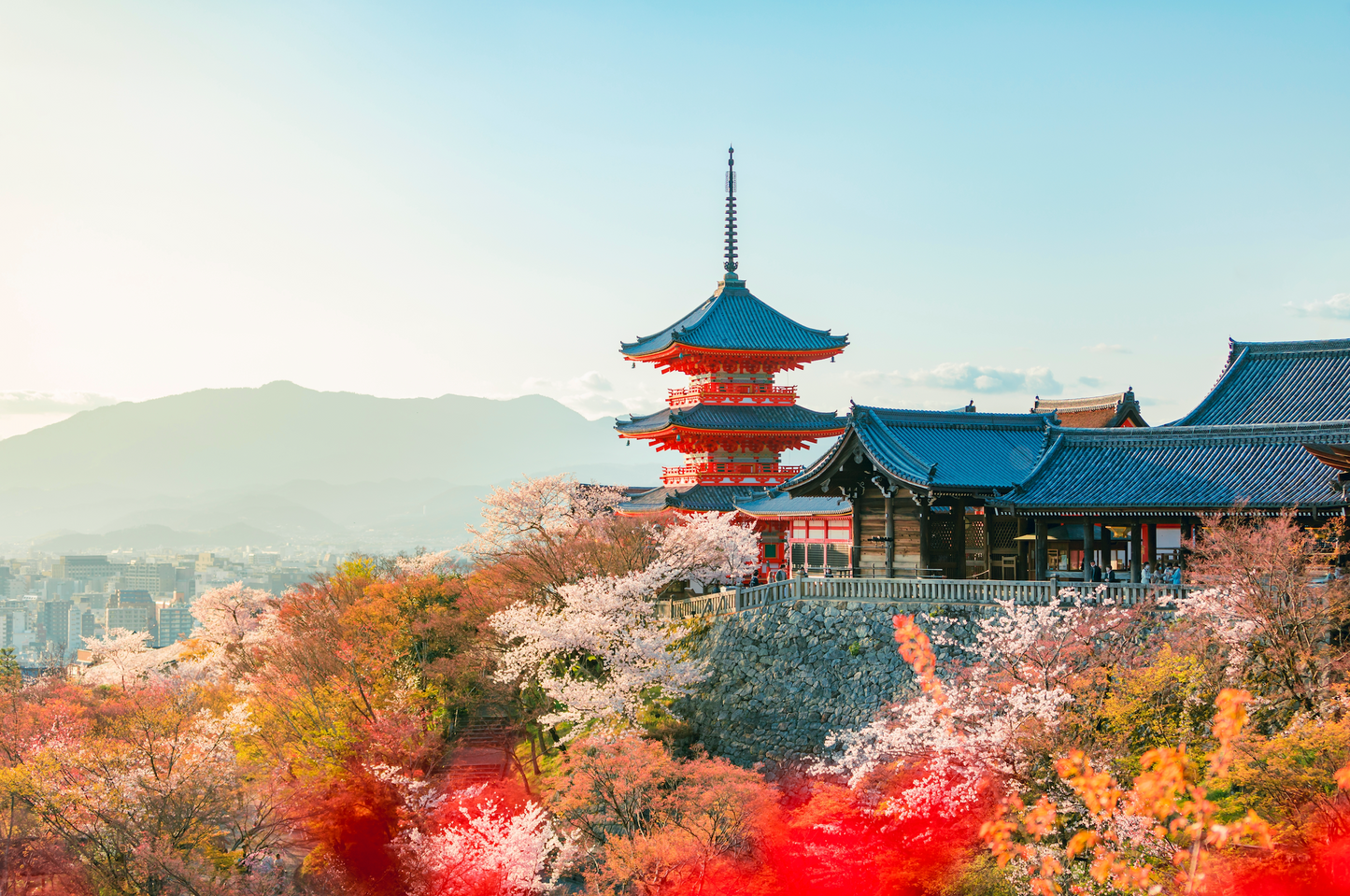 Japan Travel Tour 103