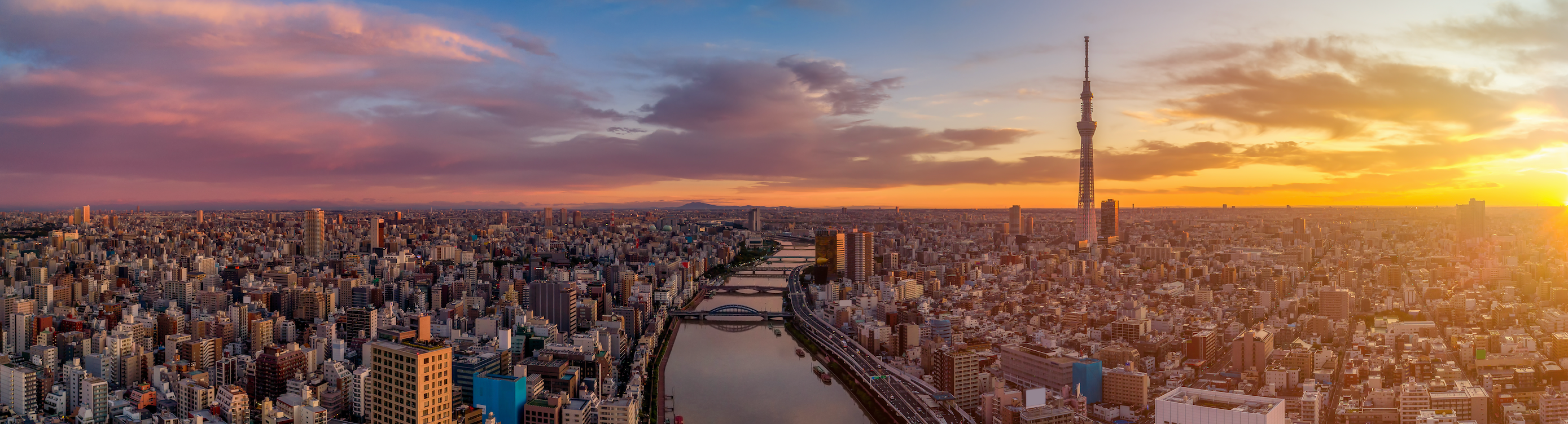 Japan Travel Tour 103
