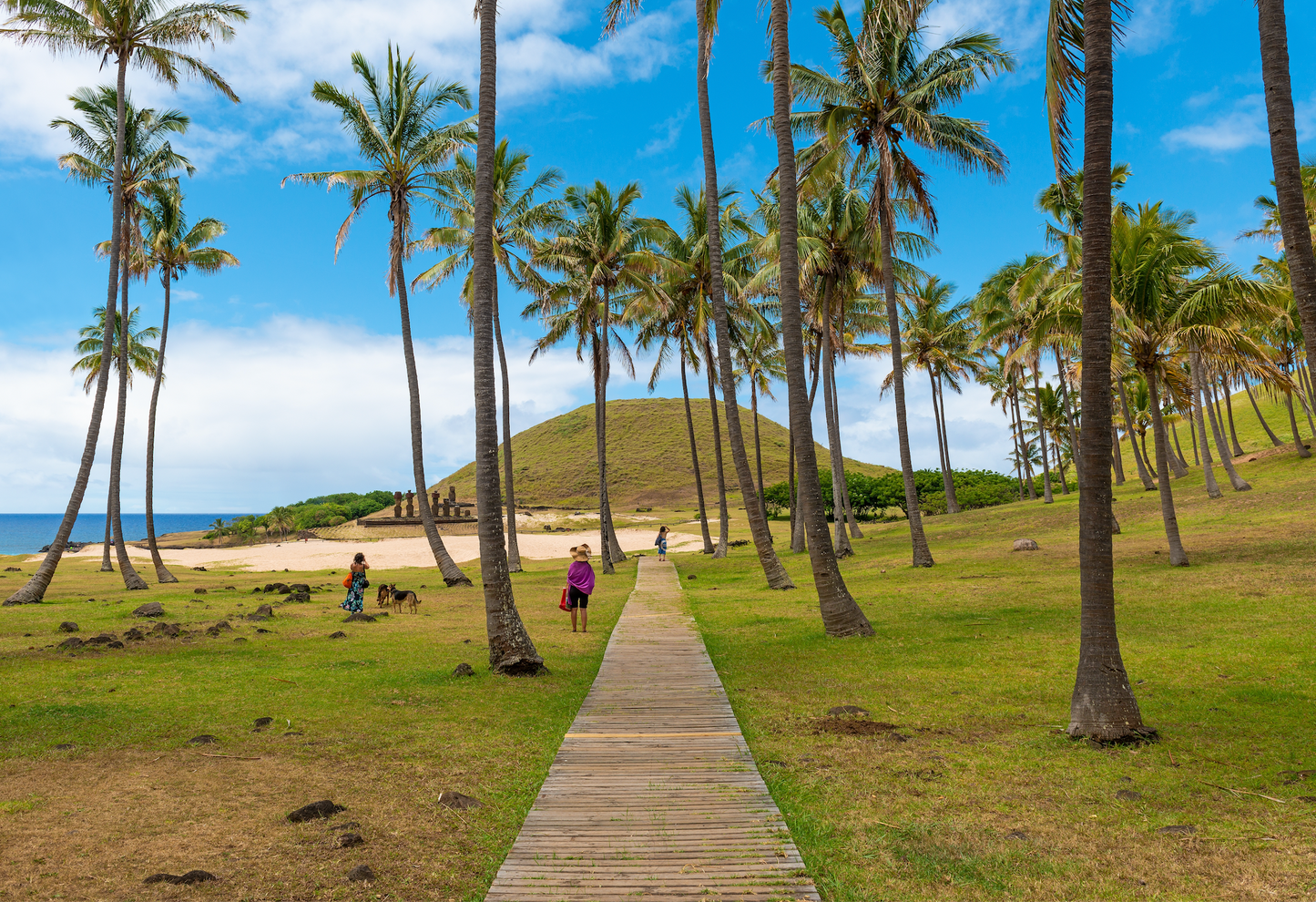 Easter Island Tour 44