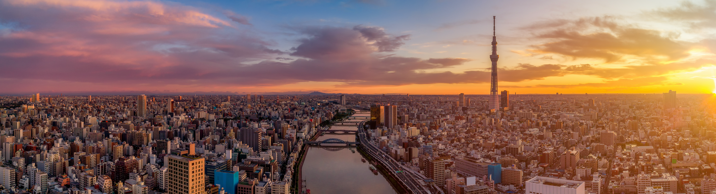 Japan Travel Tour 303