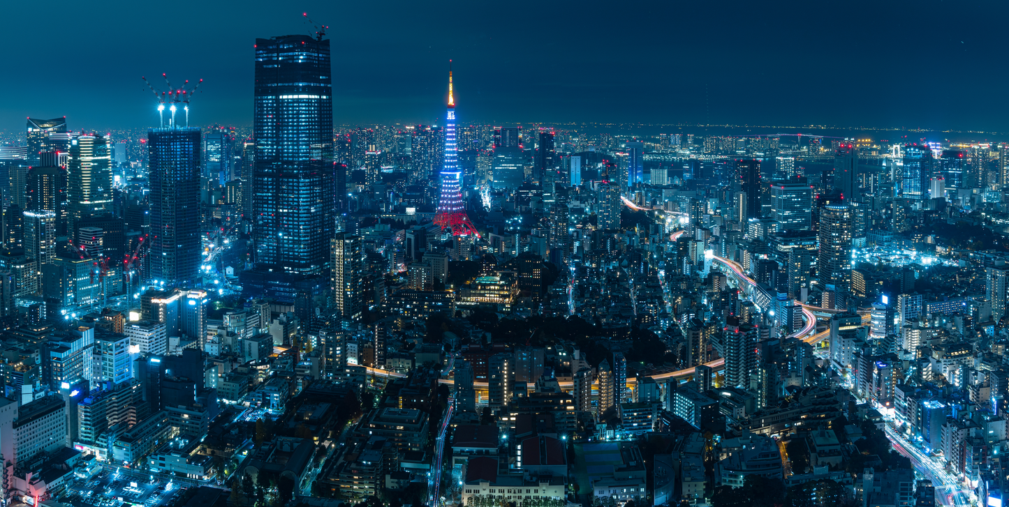 Tokyo City Tour
