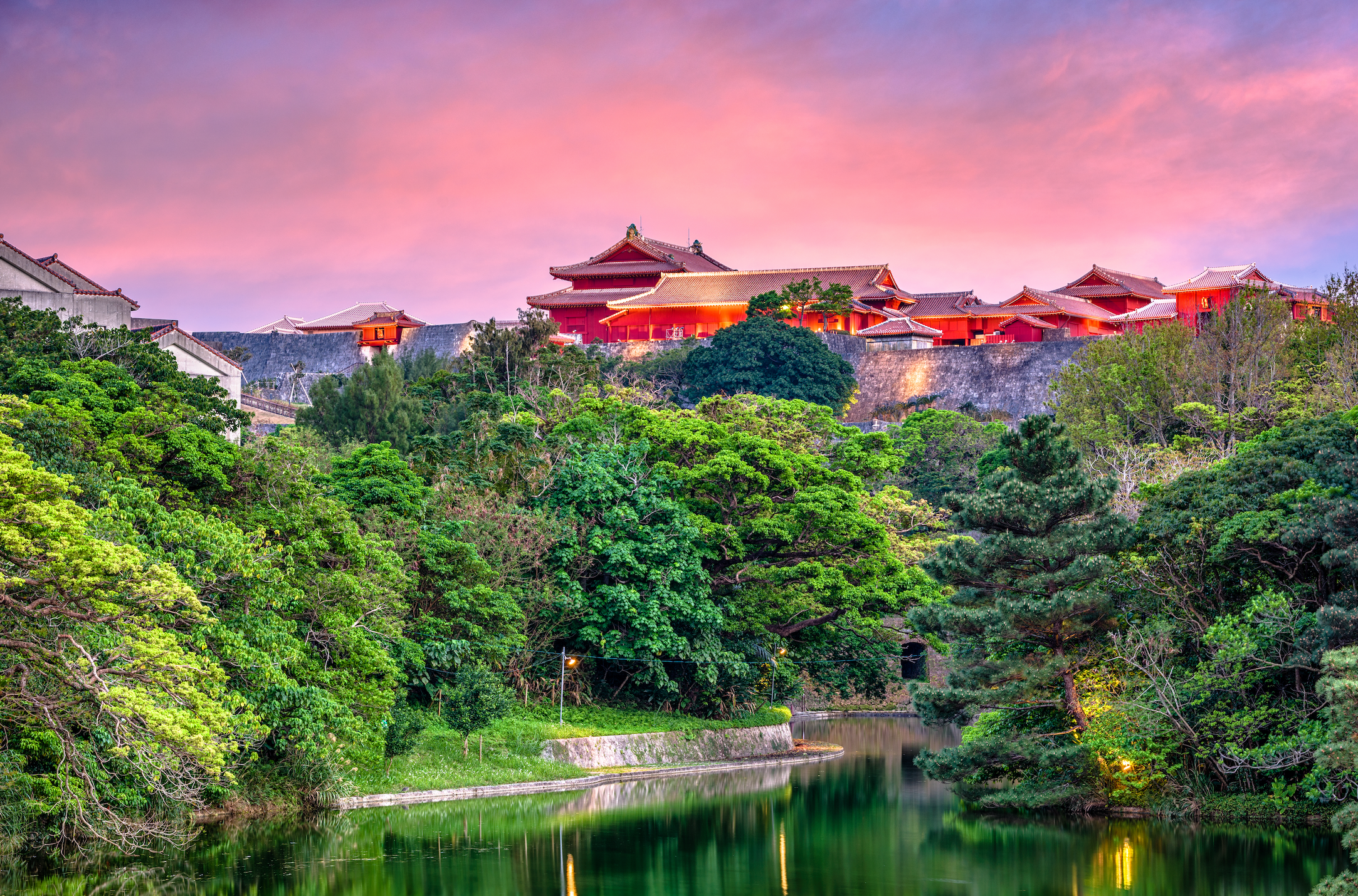 Japan Travel Tour 303
