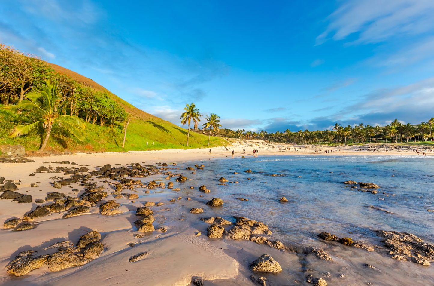 Easter Island and Galapagos Tour 615