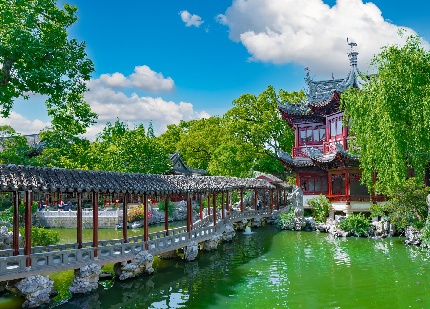 China Travel Tour 497