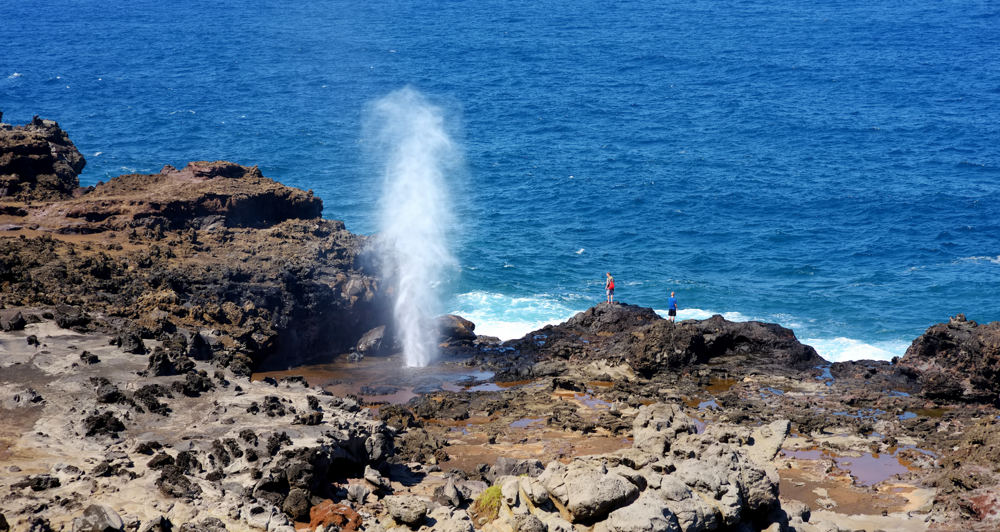 Maui Travel Tour 547