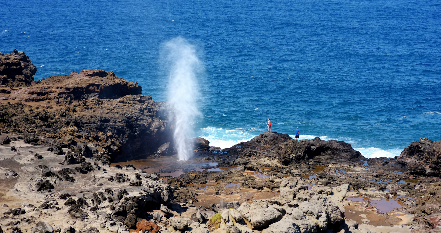 Maui Travel Tour 301