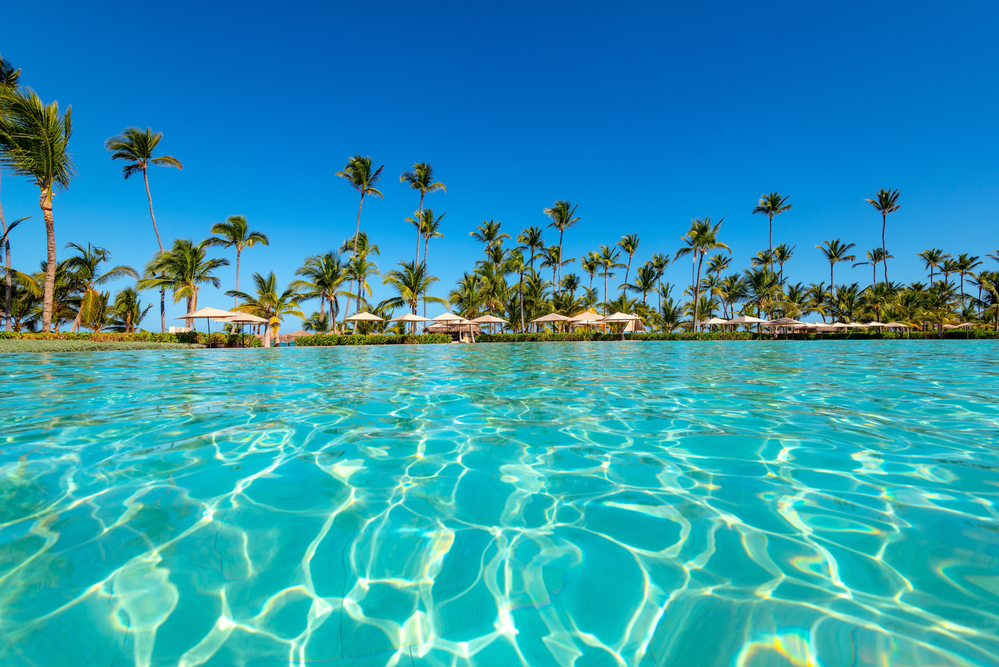 Punta Cana Travel Tour 476