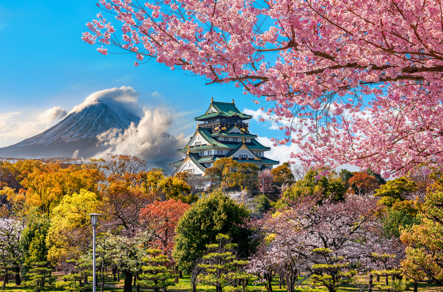 Japan Travel Tour 211