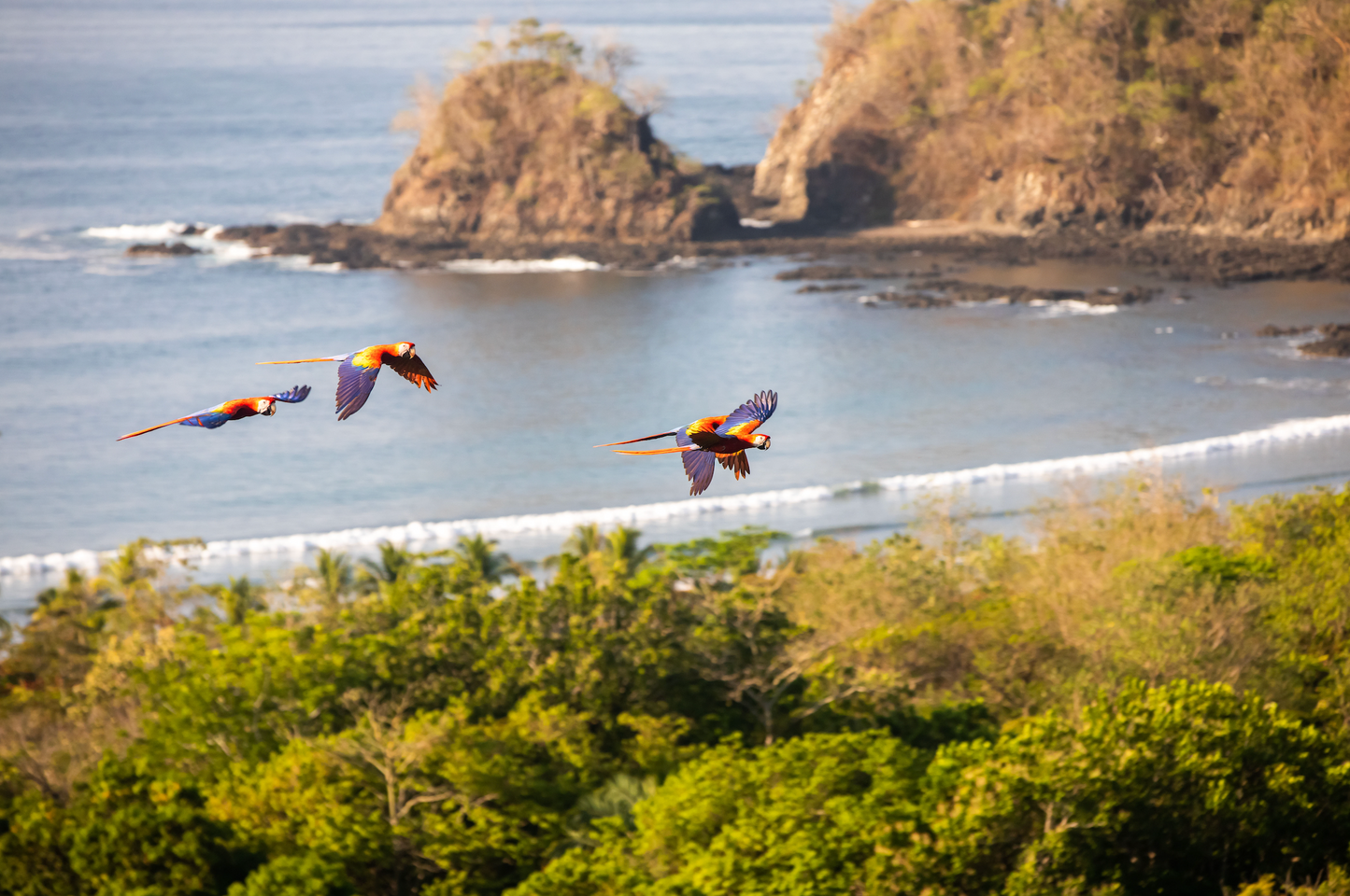 Costa Rica Travel Tour 472