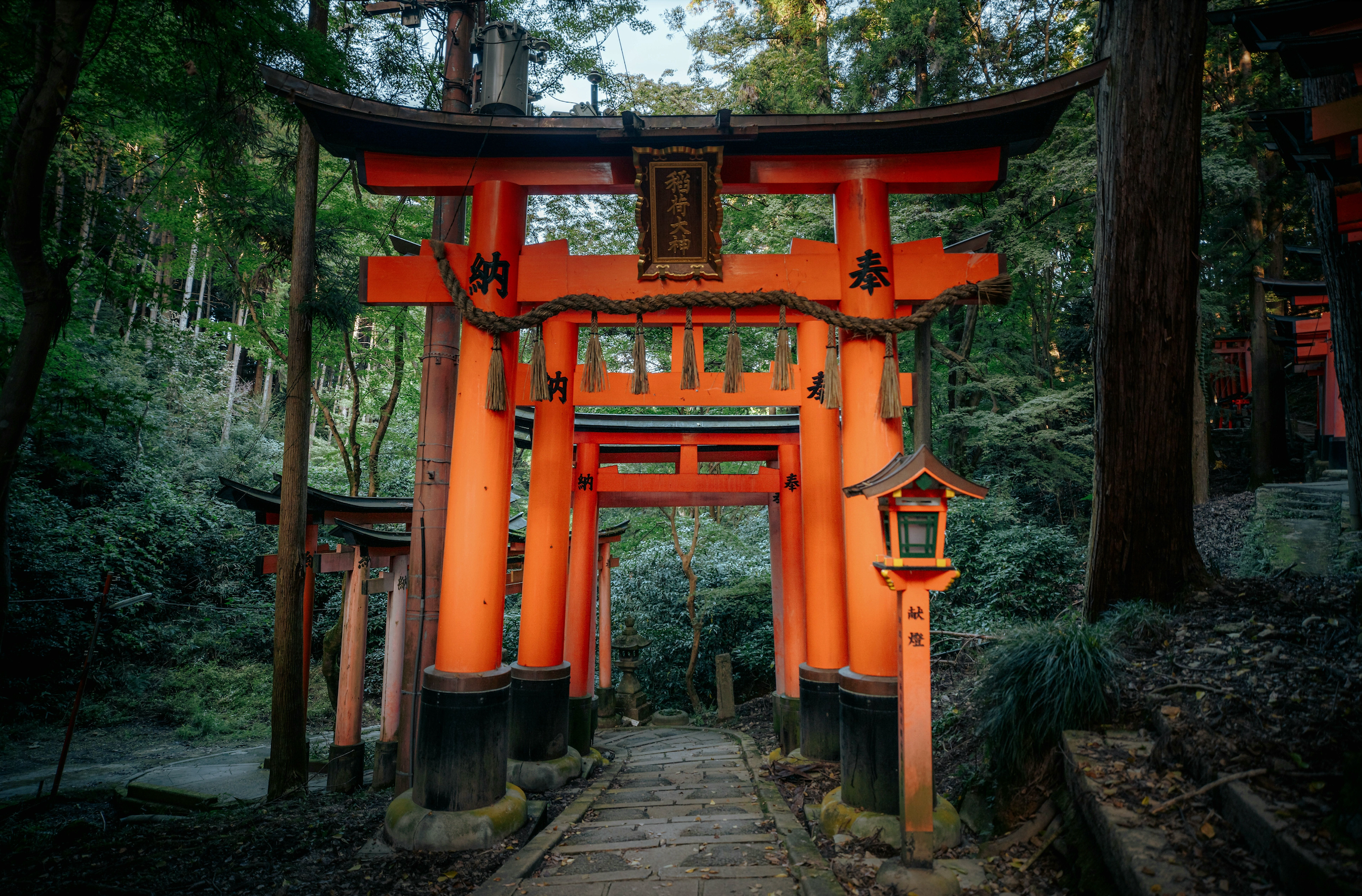 Kyoto Tour