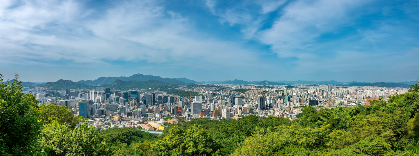 Optional Seoul Travel Tour 533