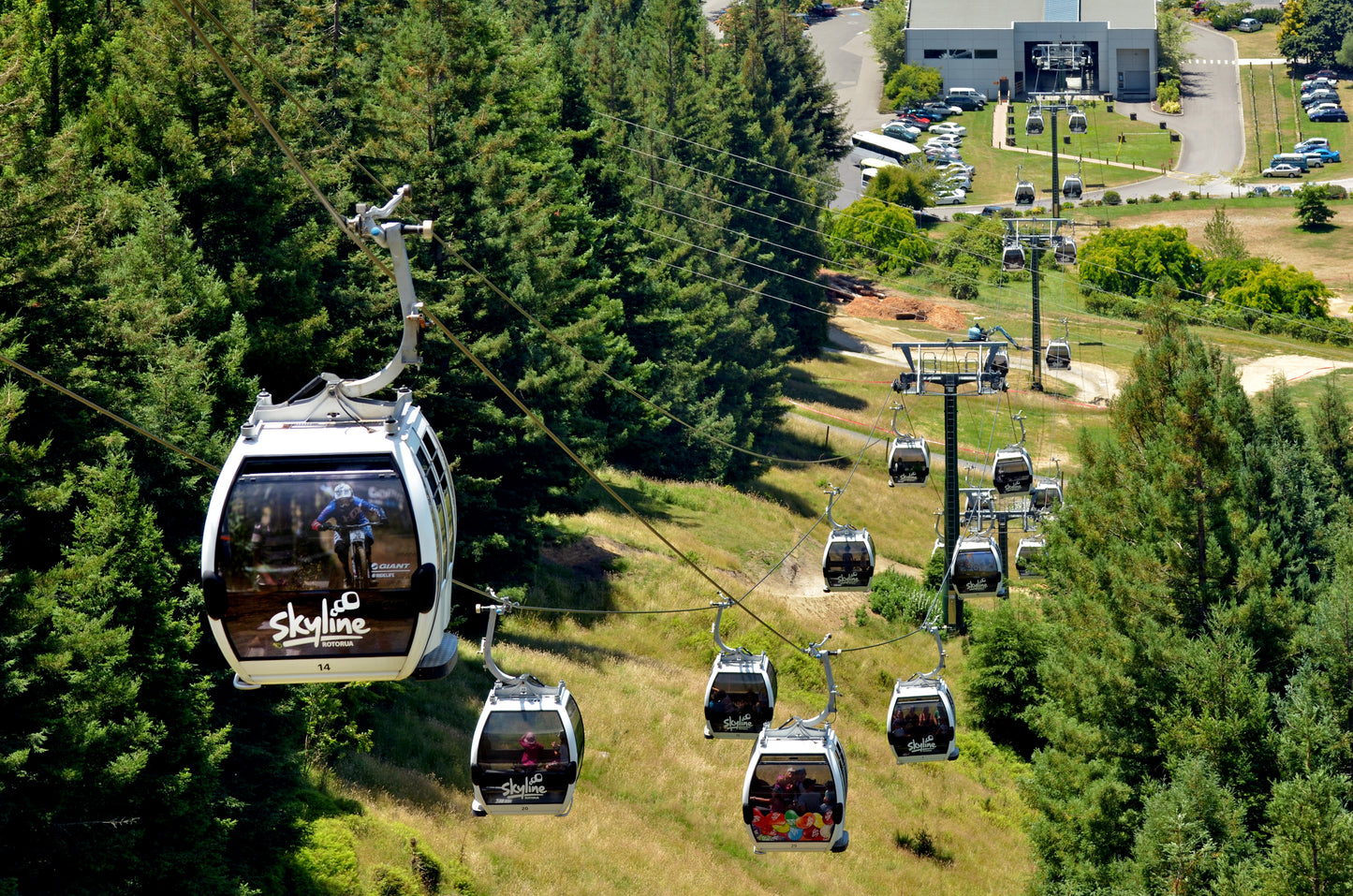 Optional Skyline Gondola in Rotorua with Buffet Lunch