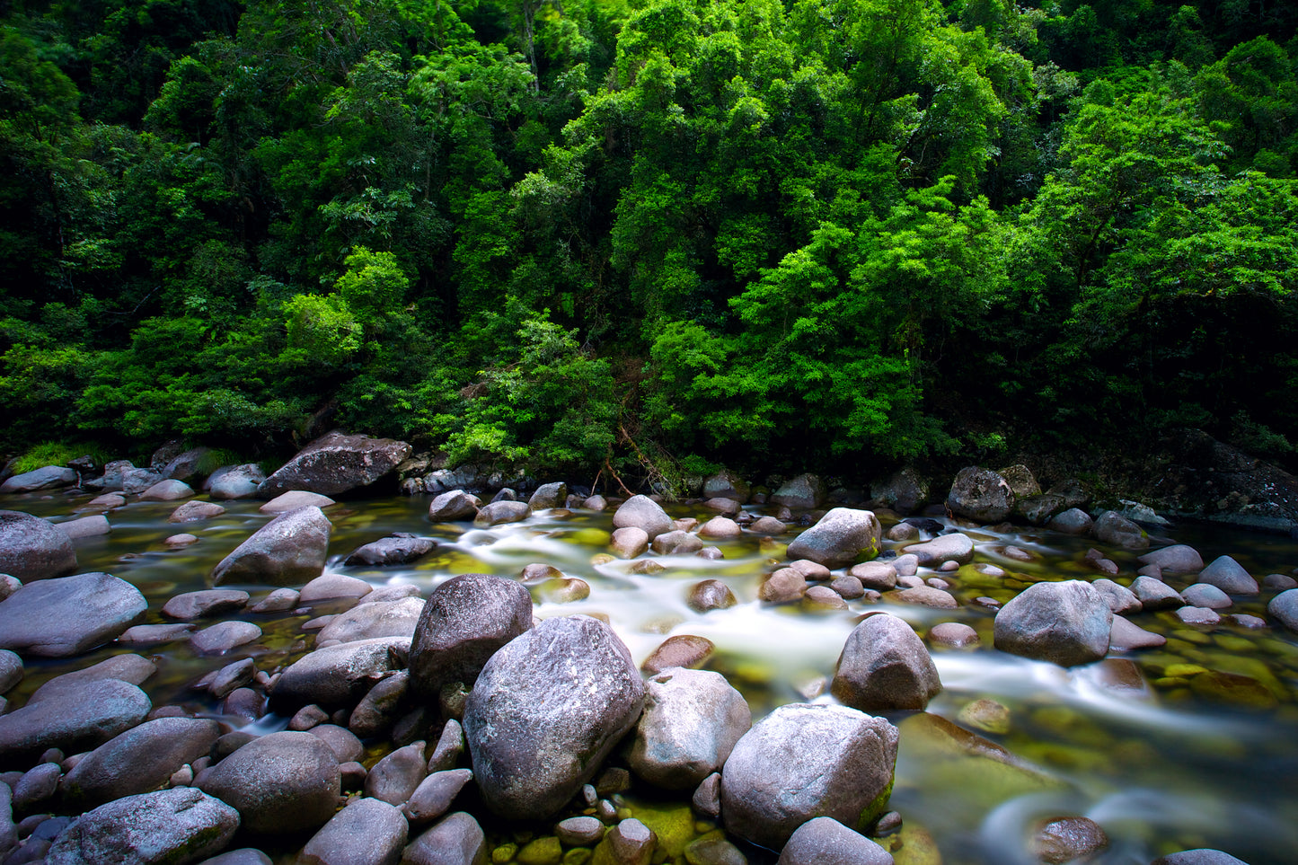 Traditional Daintree National Park