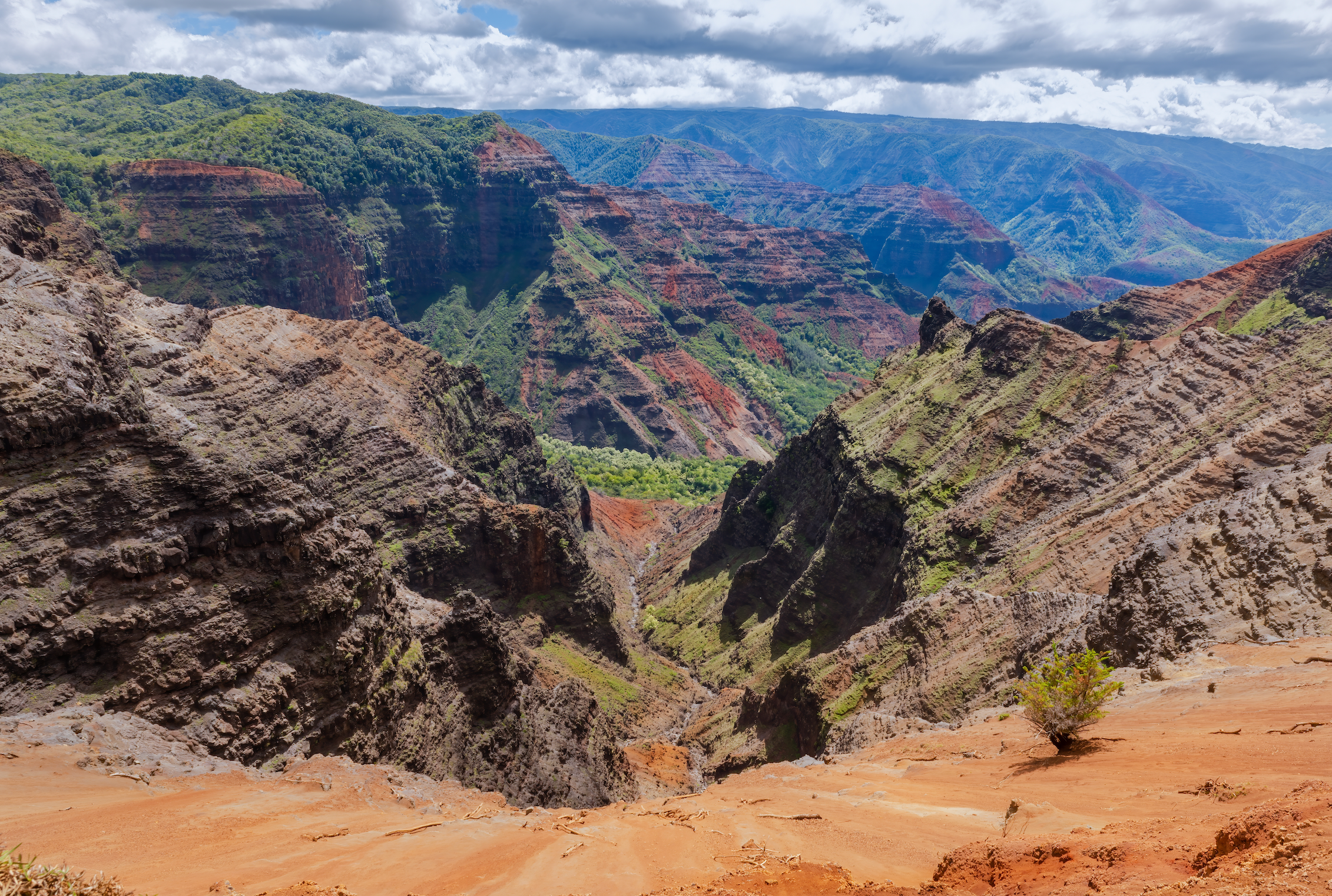 Recommended activity: Waimea Canyon State Park