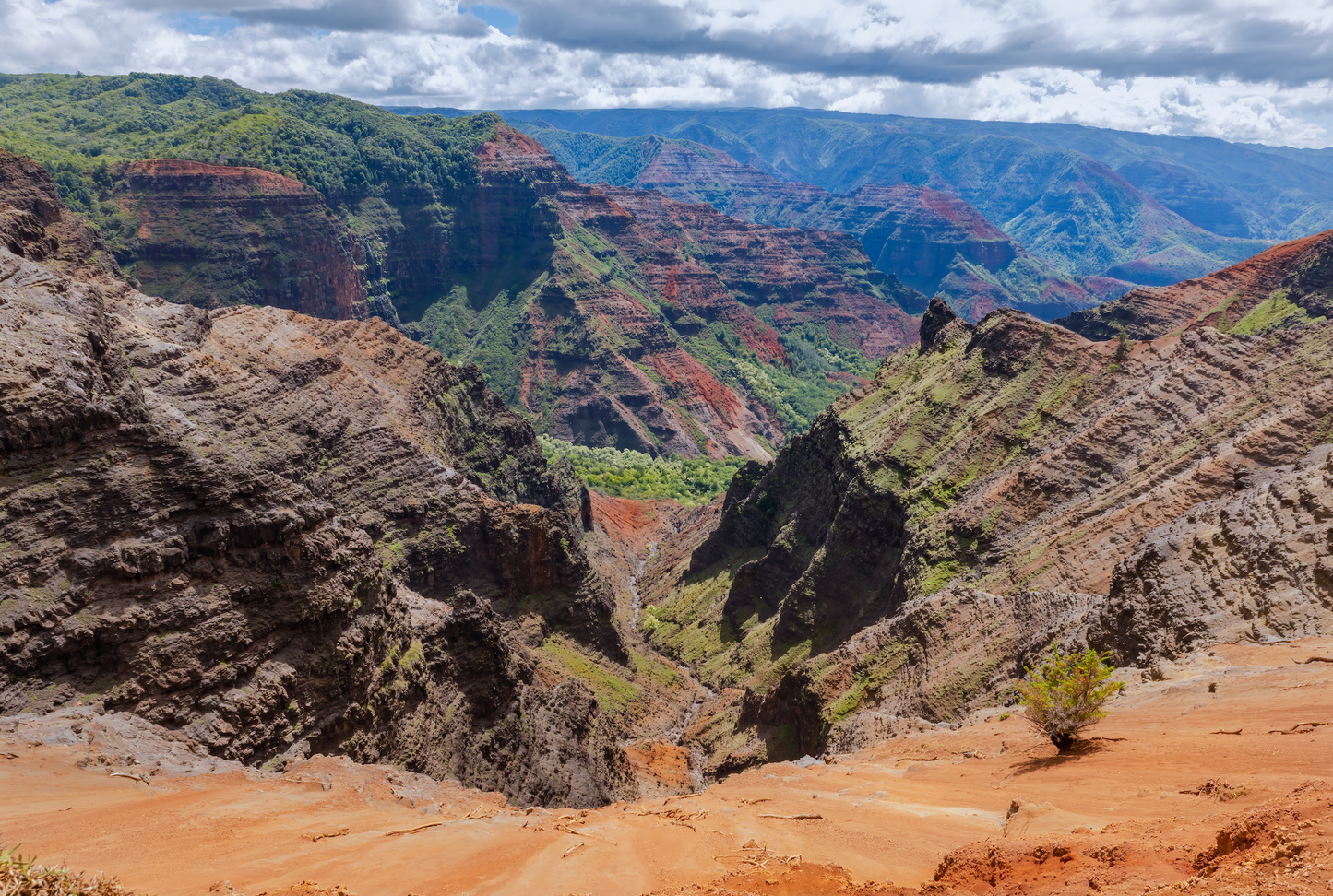 Recommended activity: Waimea Canyon State Park