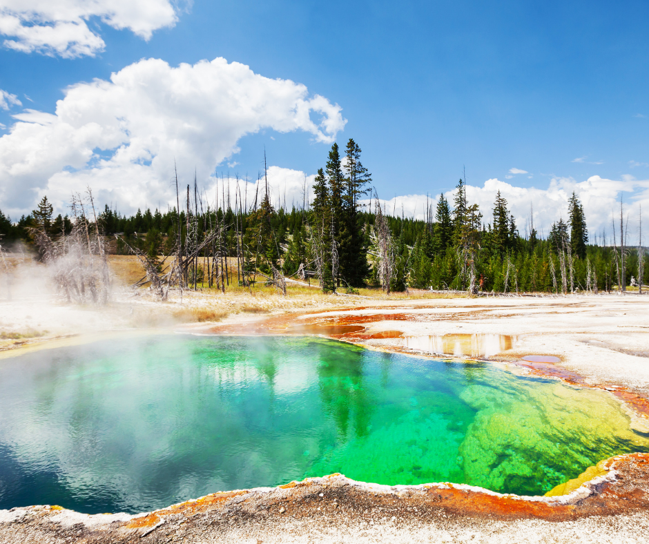 New York, Yellowstone, Skywalker, Tusayan, Page and Park City Travel Tour 623
