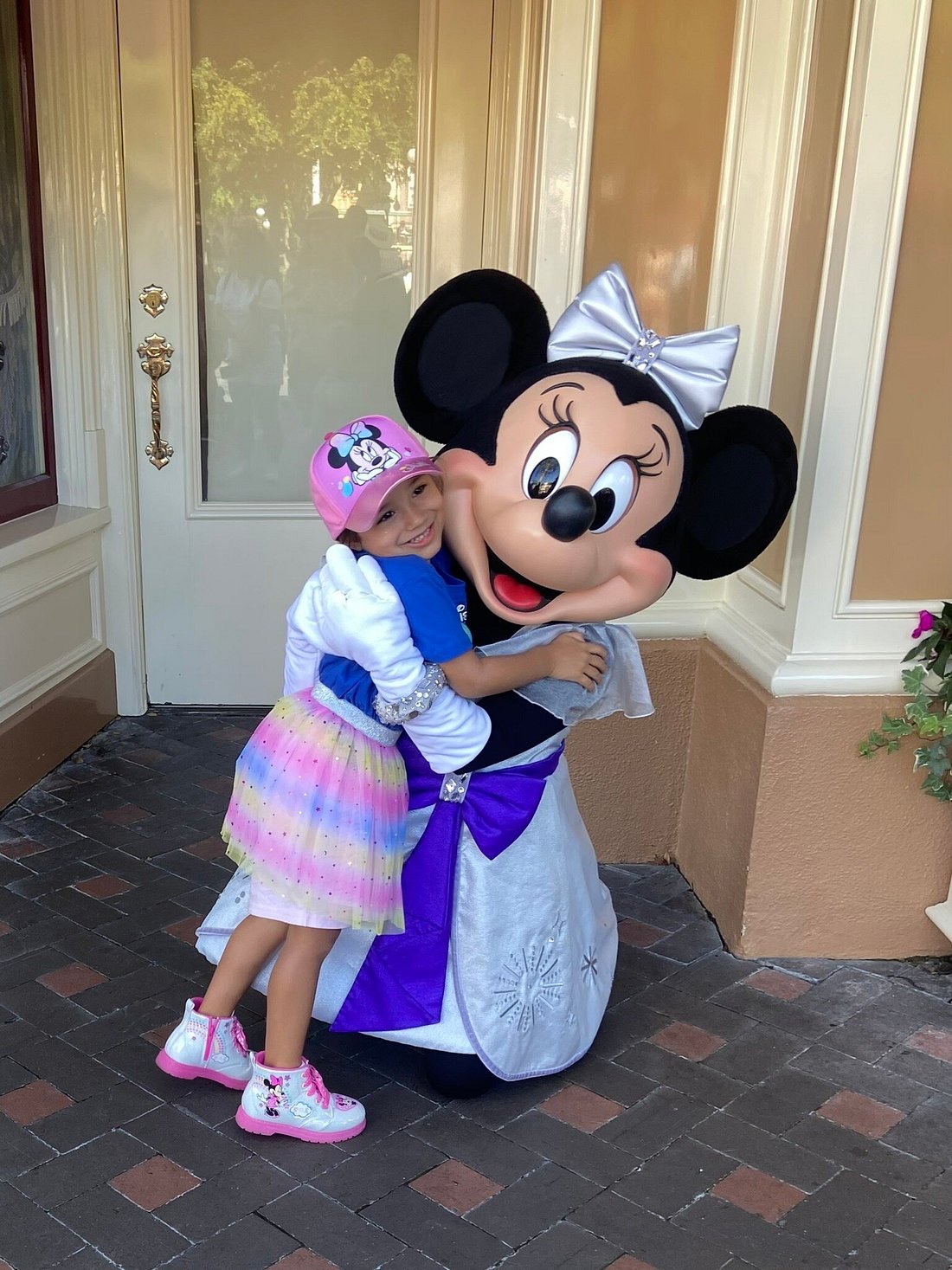 Disney Travel Tour 343