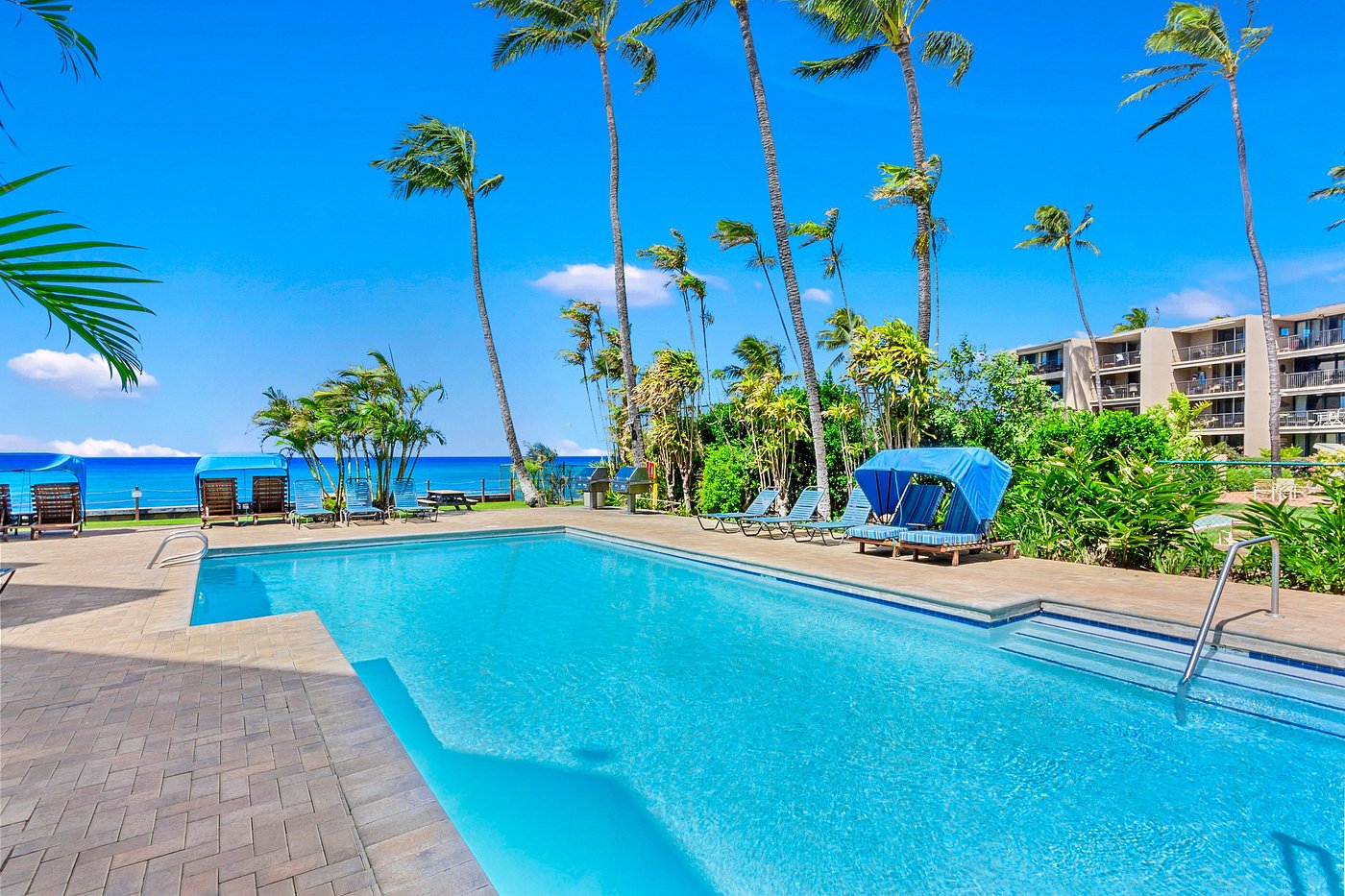 Maui Travel Tour 506