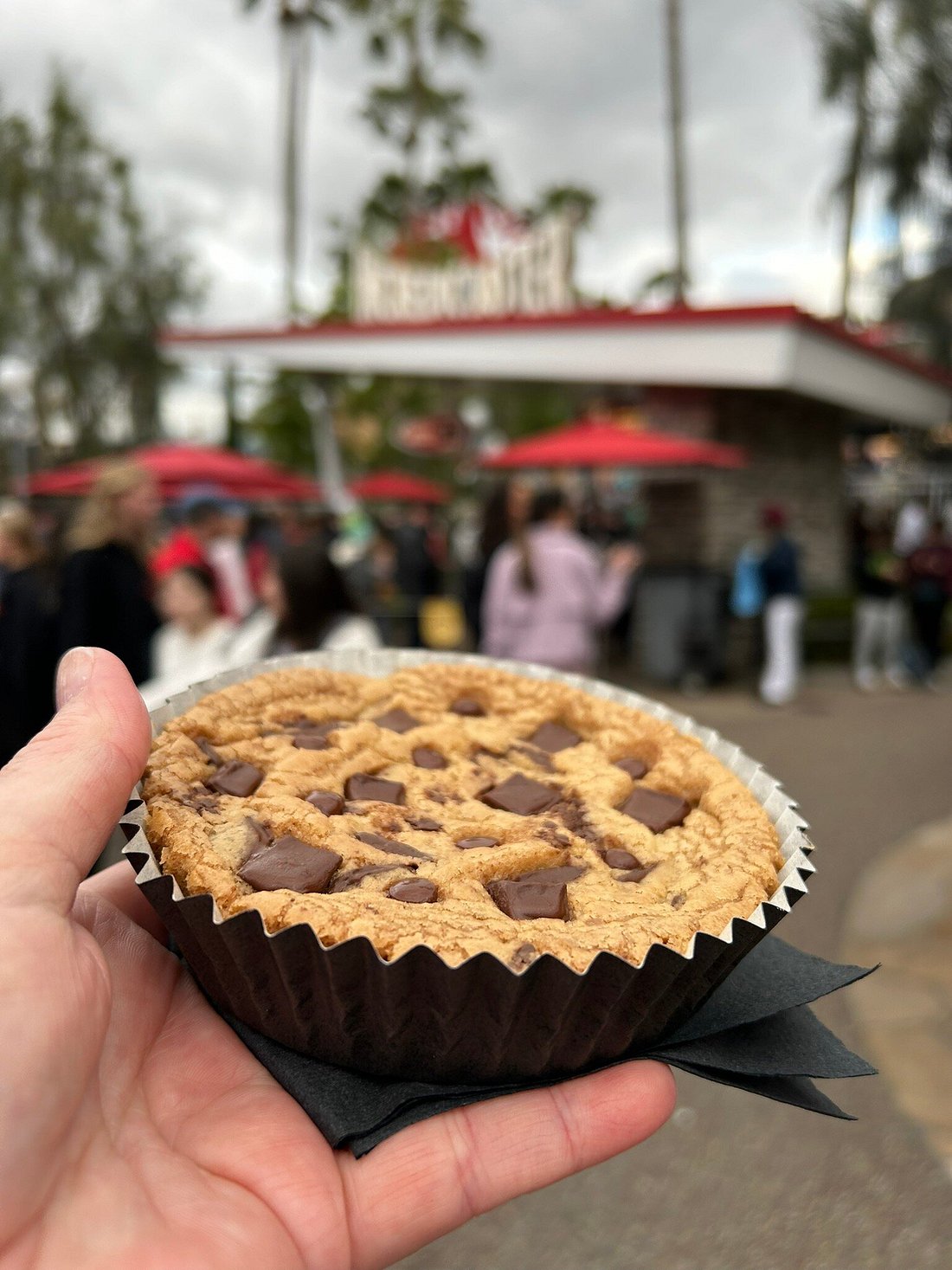 Disney Travel Tour 343