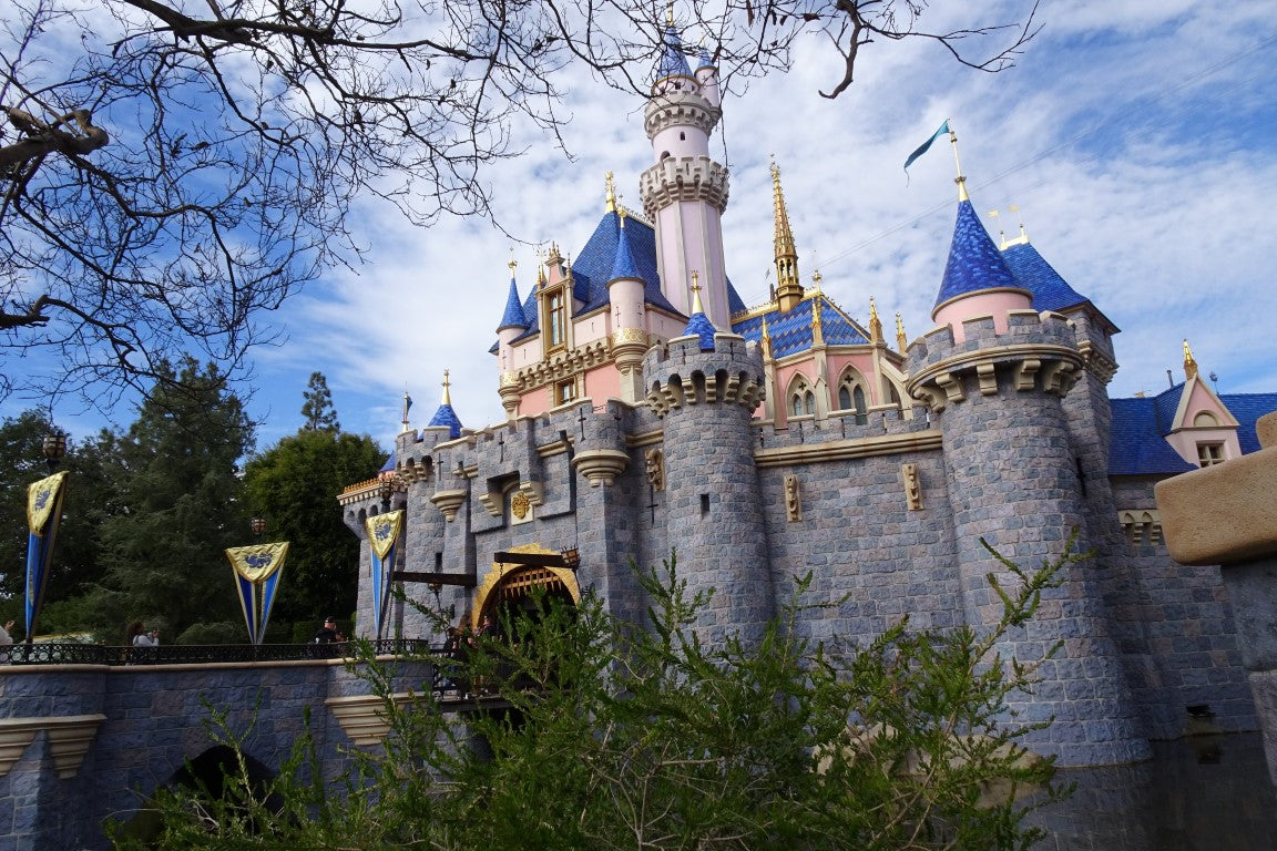 Disney Travel Tour 343