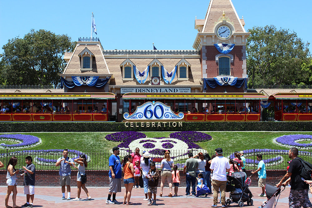Disney Travel Tour 343