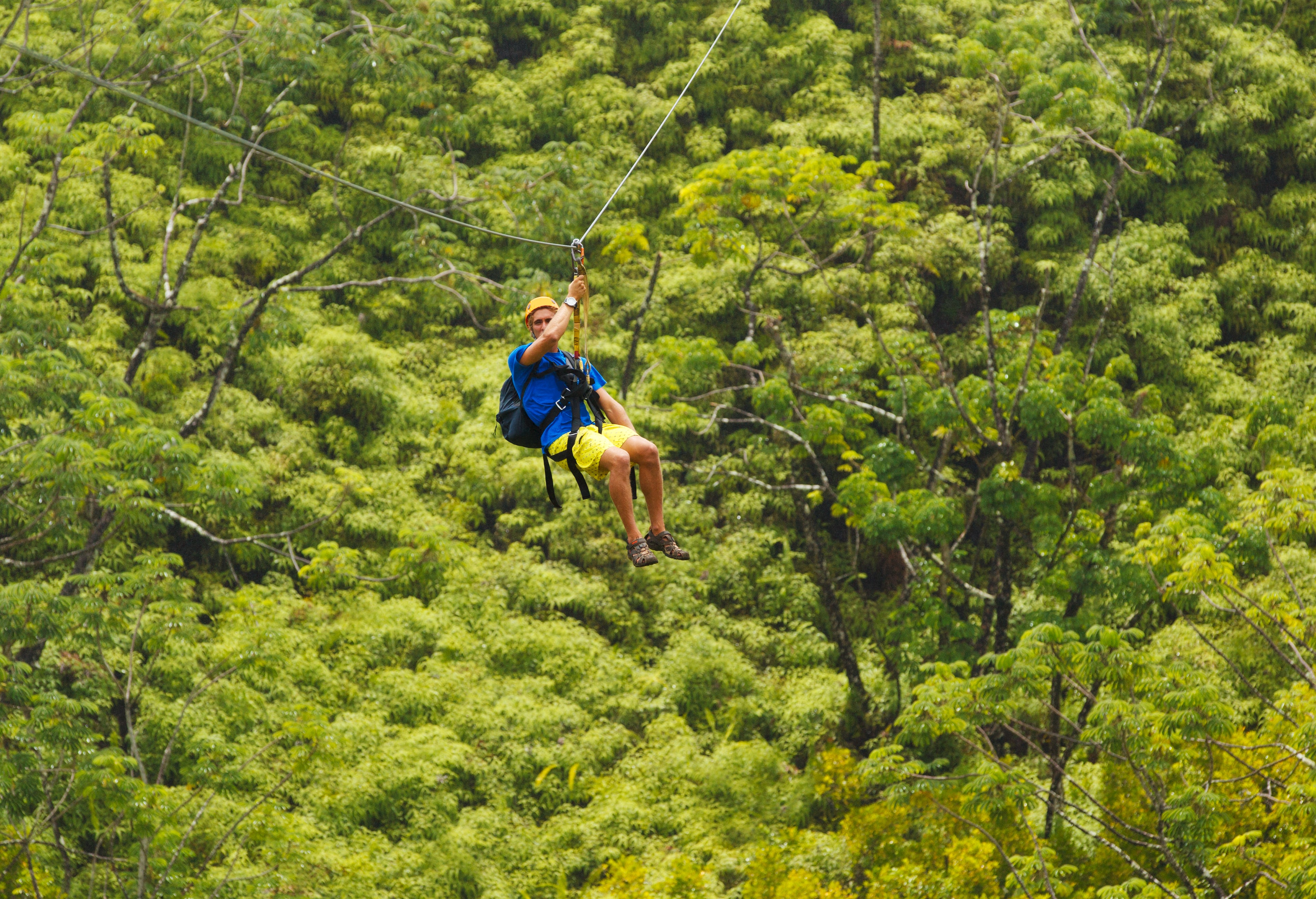 Zipline Tour