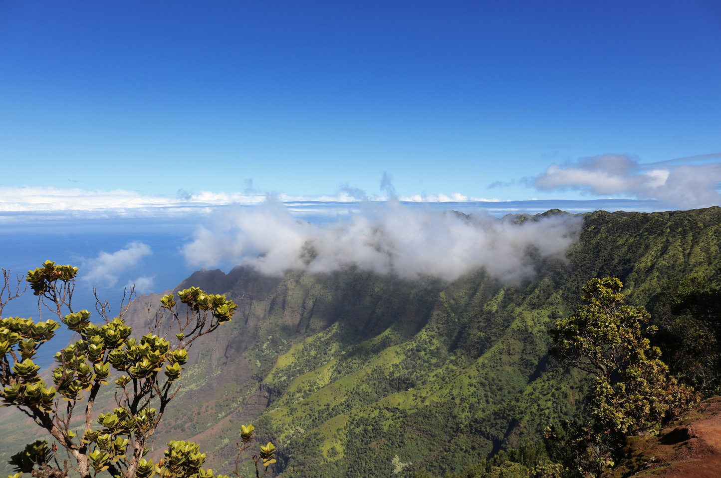 Recommended activity: Pu‘u O Kila Lookout