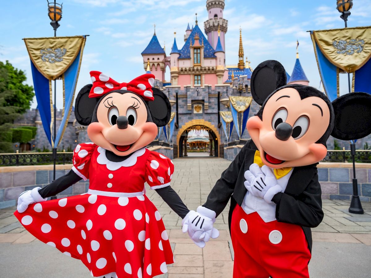Disney Travel Tour 343