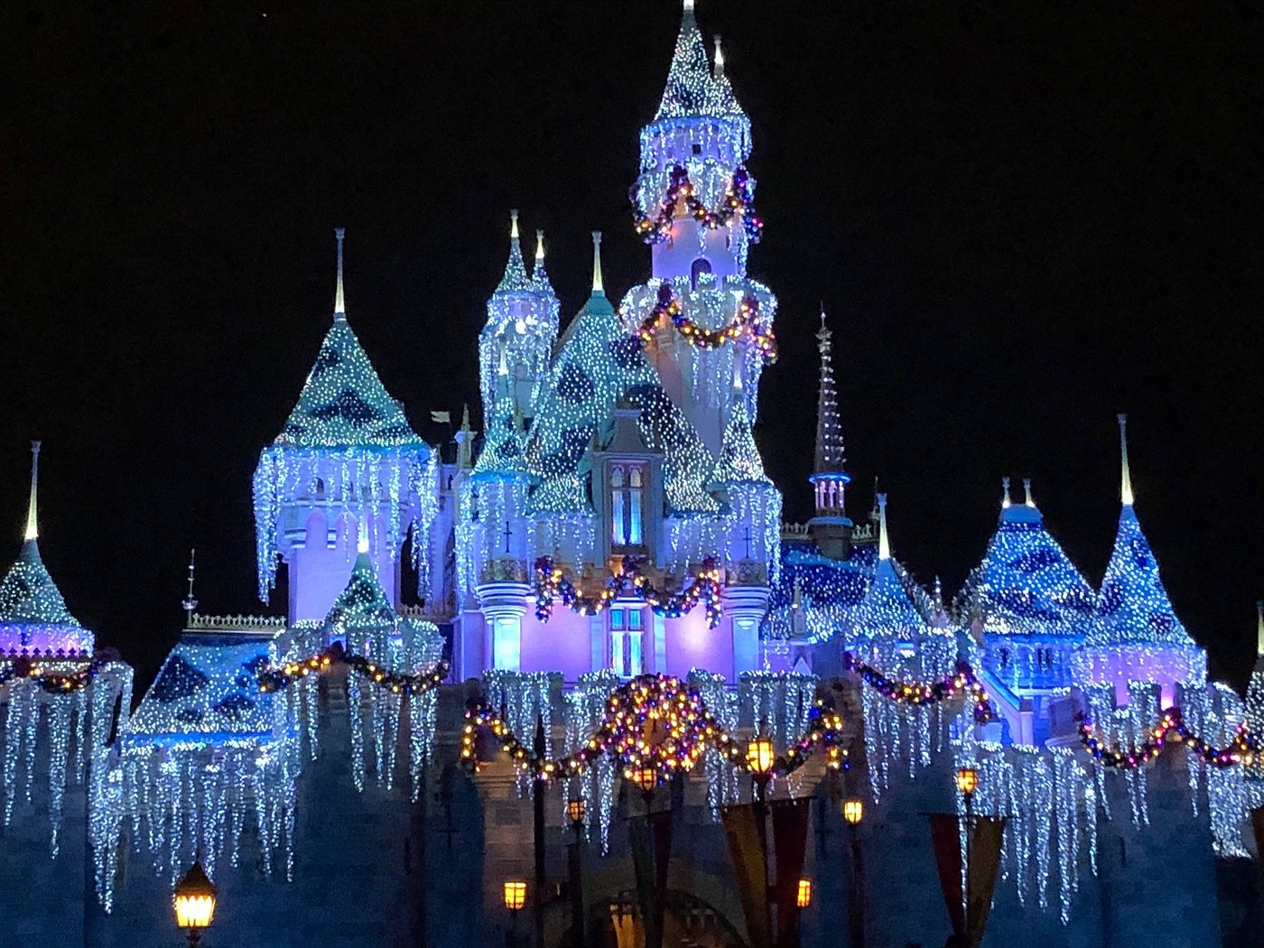 Disney Travel Tour 343