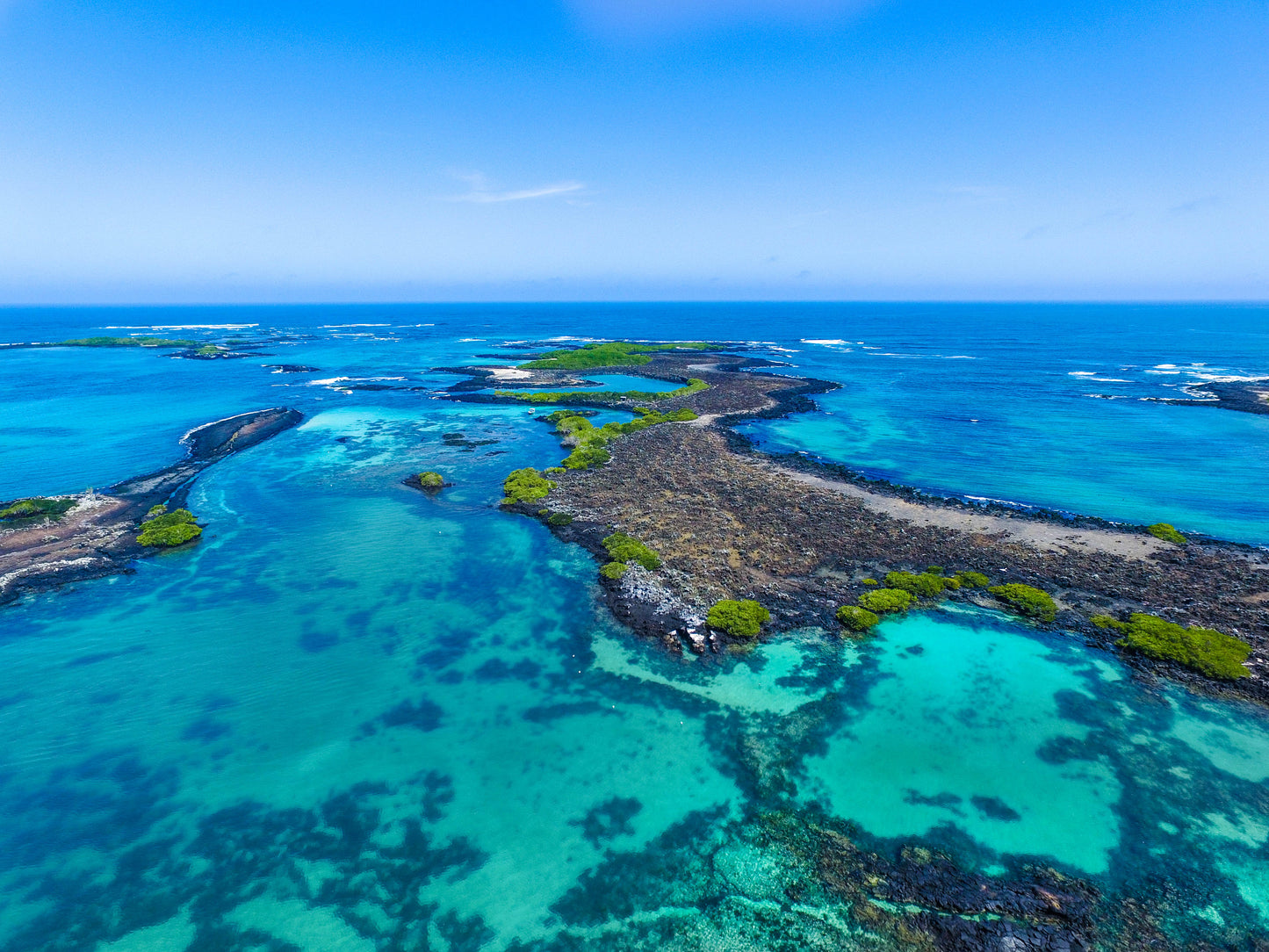 Isabela Island Tour