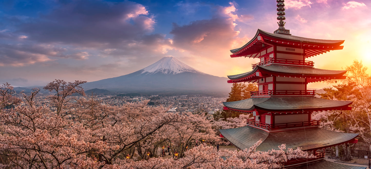 Japan Travel Tour 211