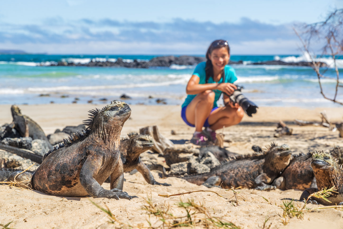 Easter Island and Galapagos Tour 615