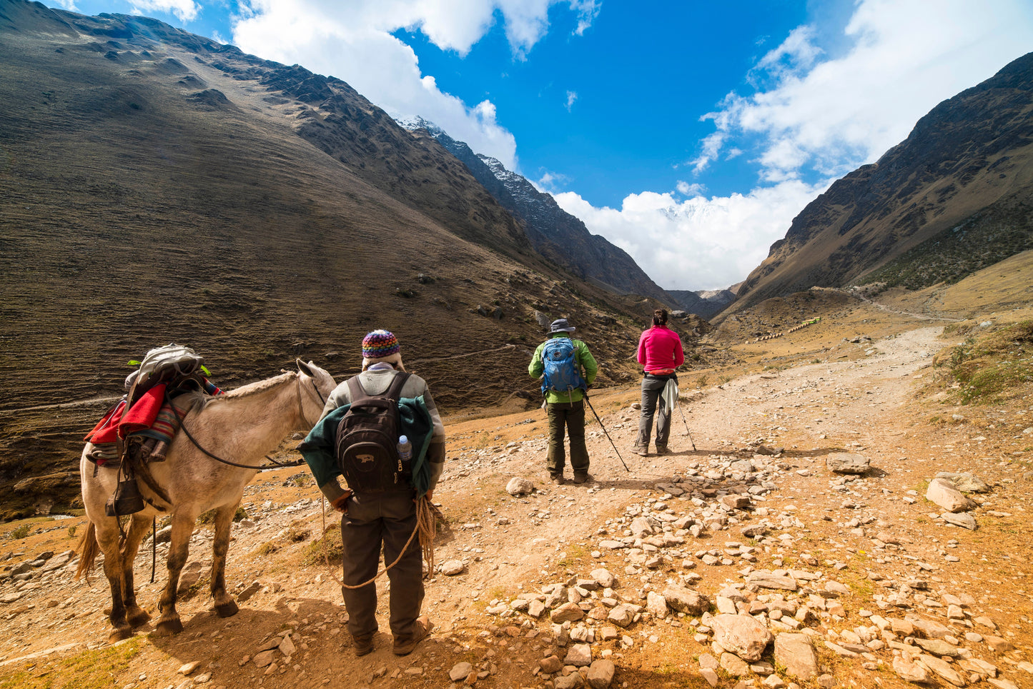 Peru Travel Tour 489
