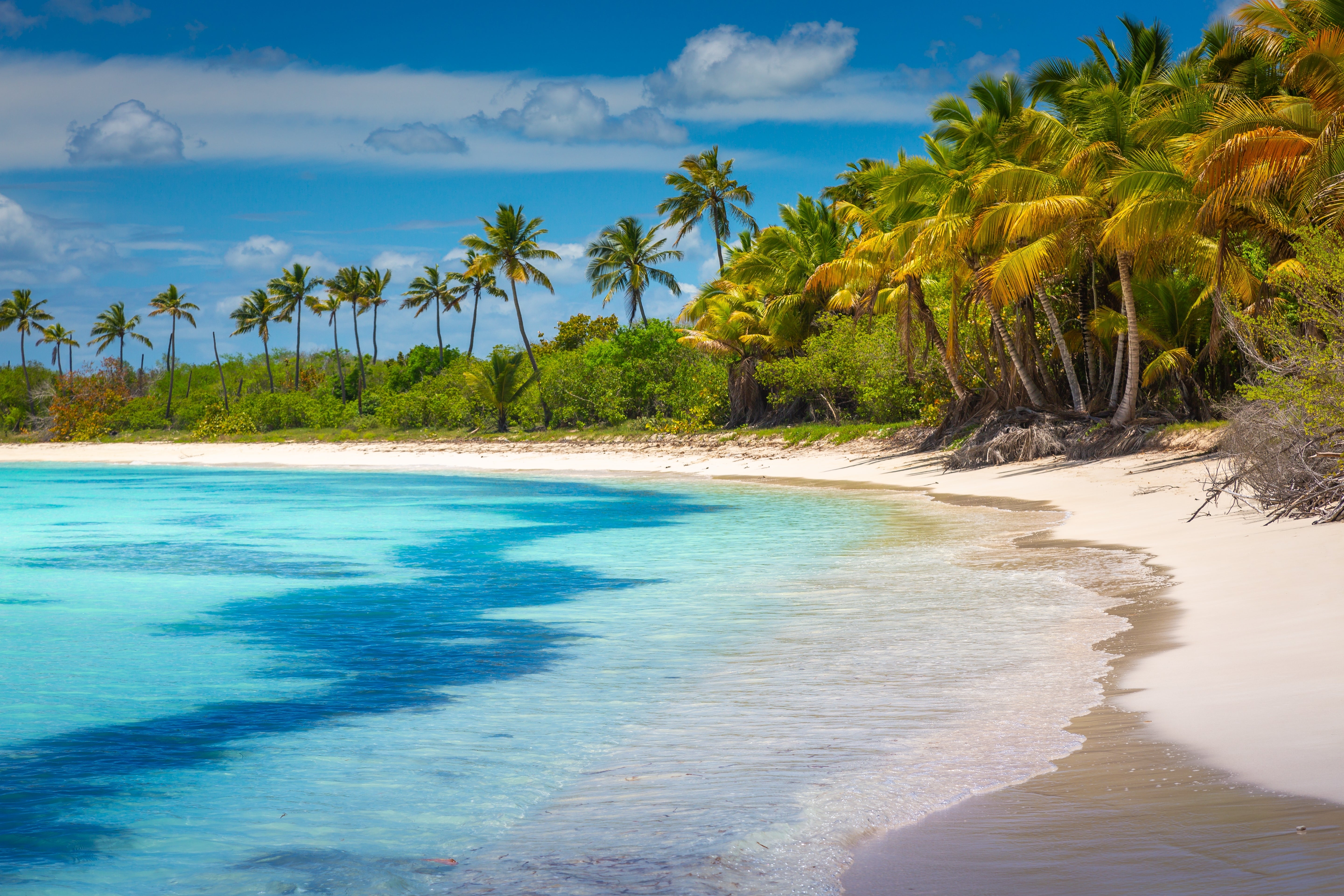 Punta Cana Travel Tour 476