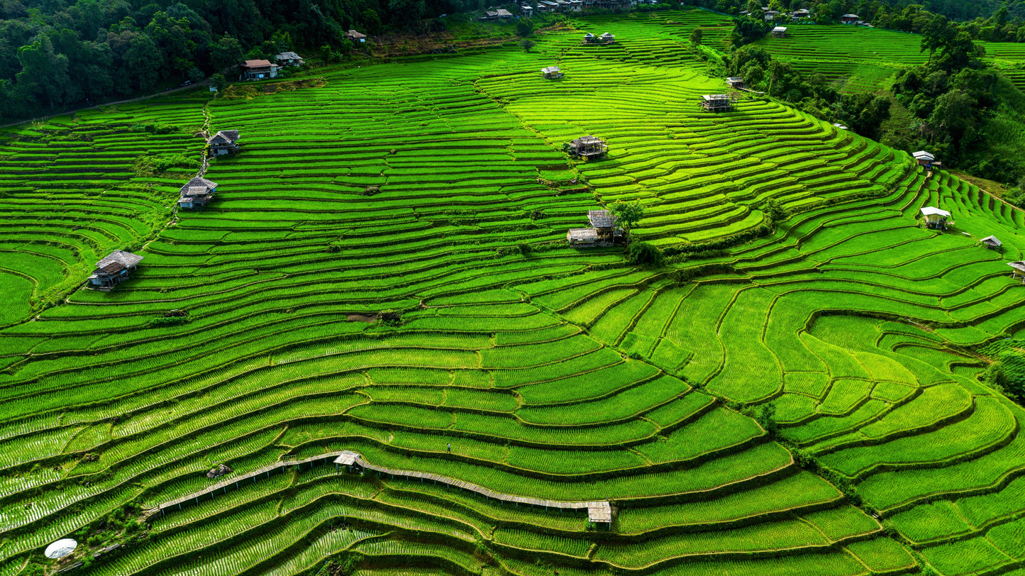 Chiang Mai Tour June 30, 2026 - July 04, 2026 205