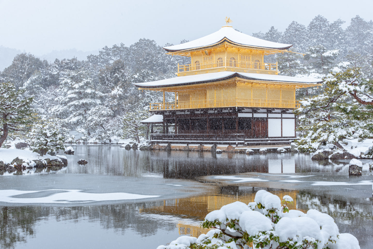 Optional Kyoto Tour