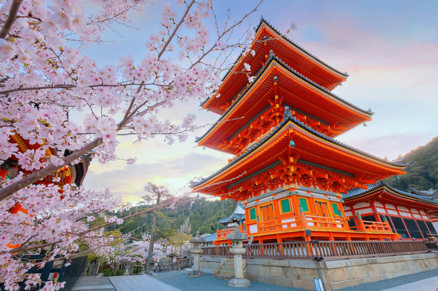 Kyoto Tour