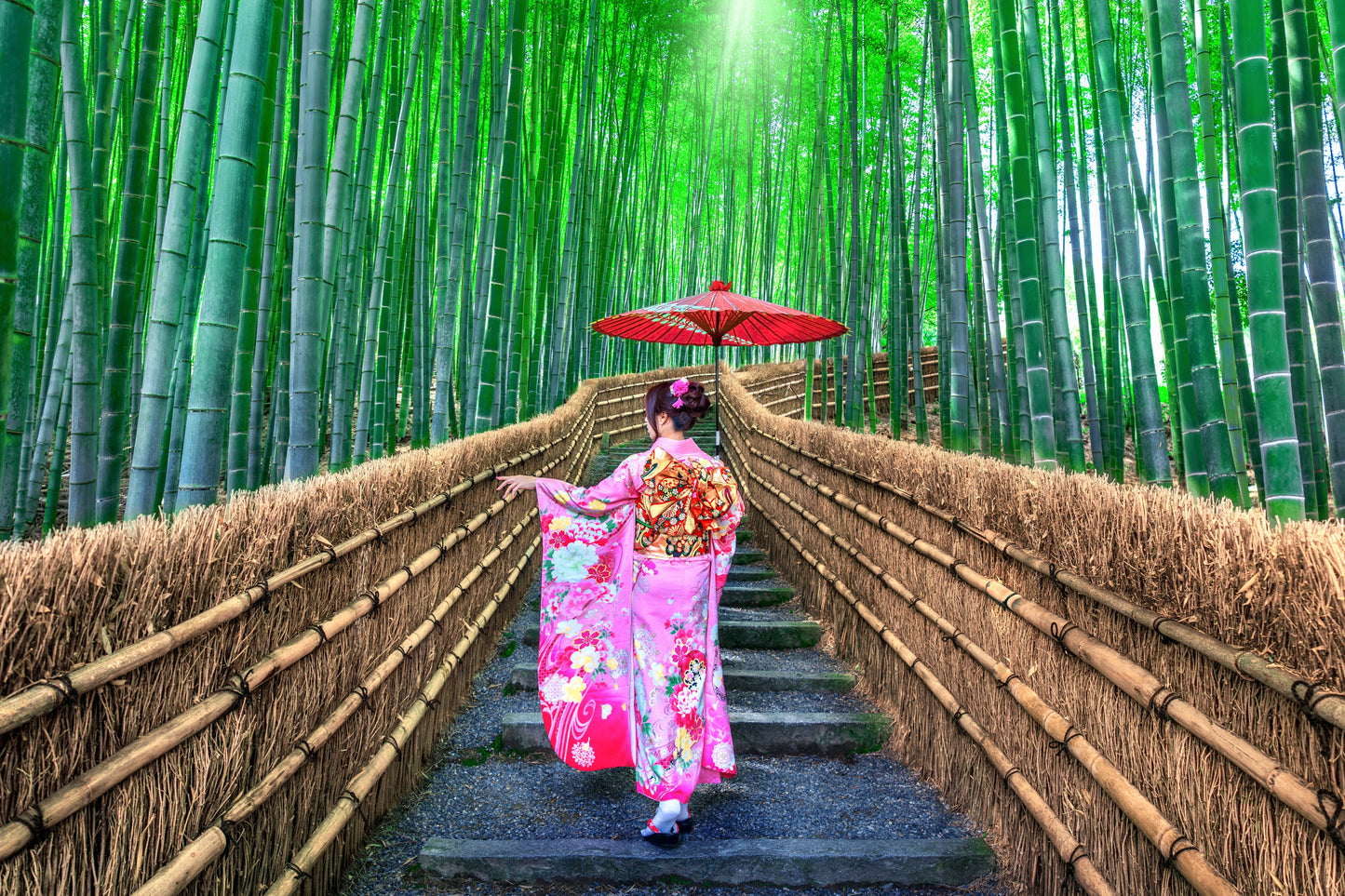 Optional Kyoto Tour
