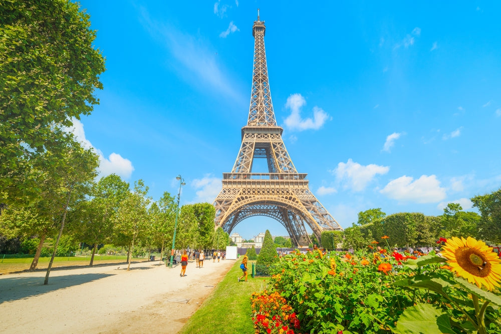 London and Paris Travel Tour 446