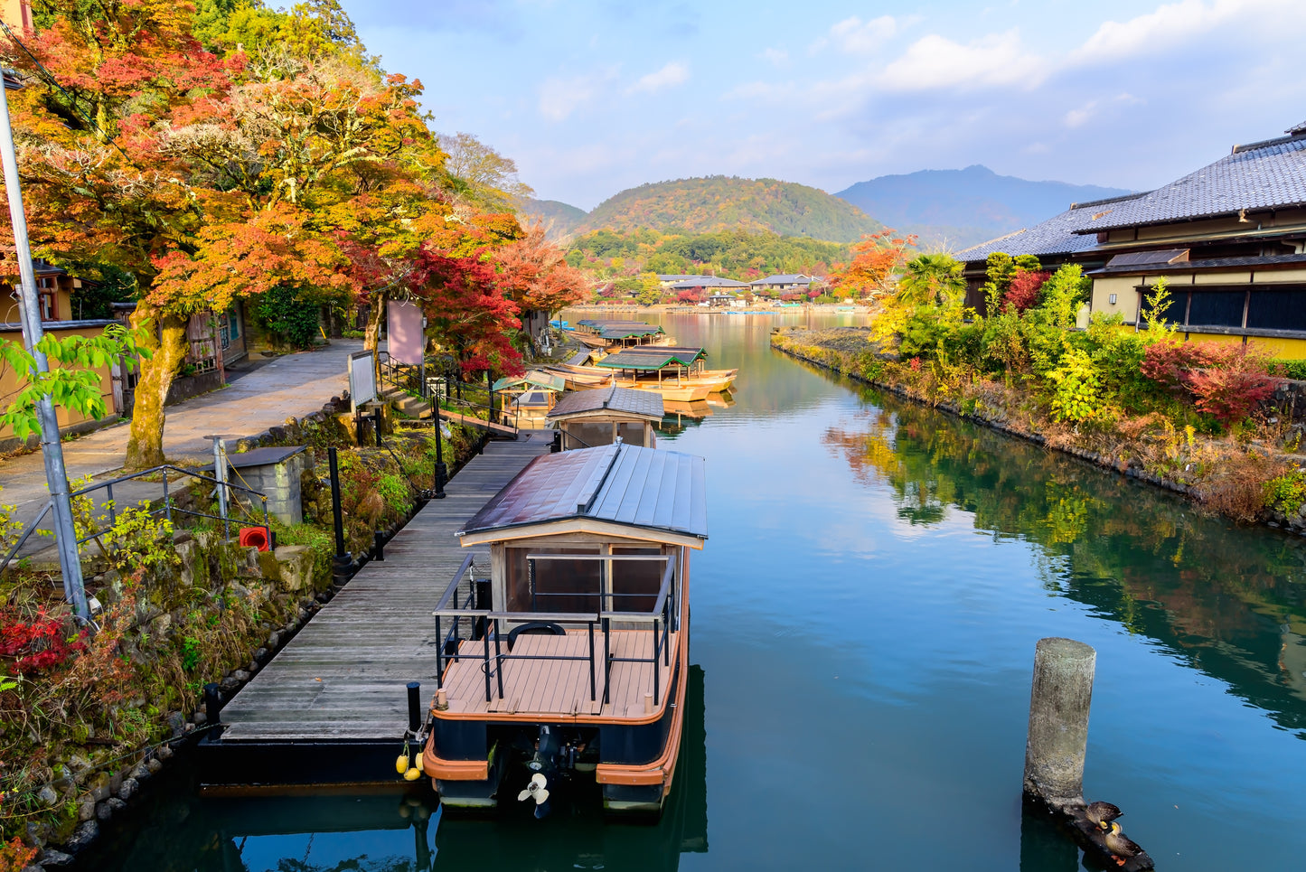 Optional Kyoto Tour