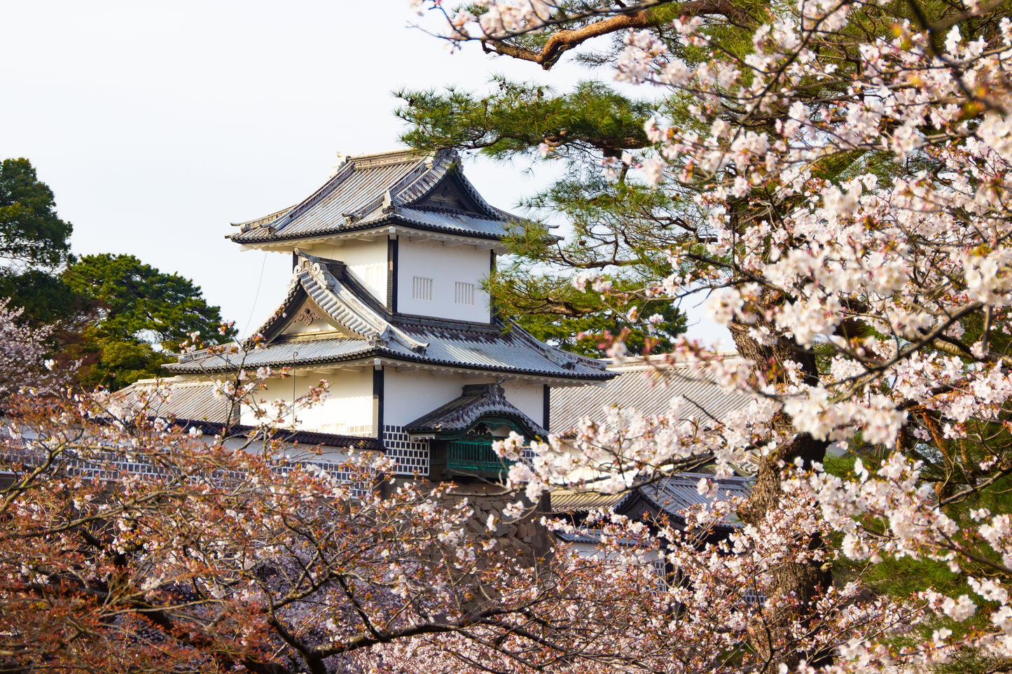 Japan Travel Tour 211