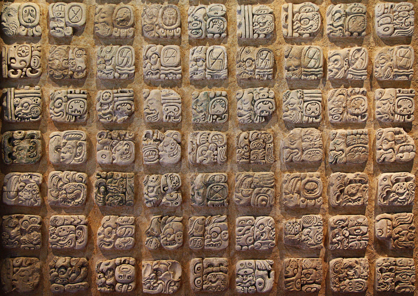 Playa Del Carmen-Chichen Itza Travel Tour 328