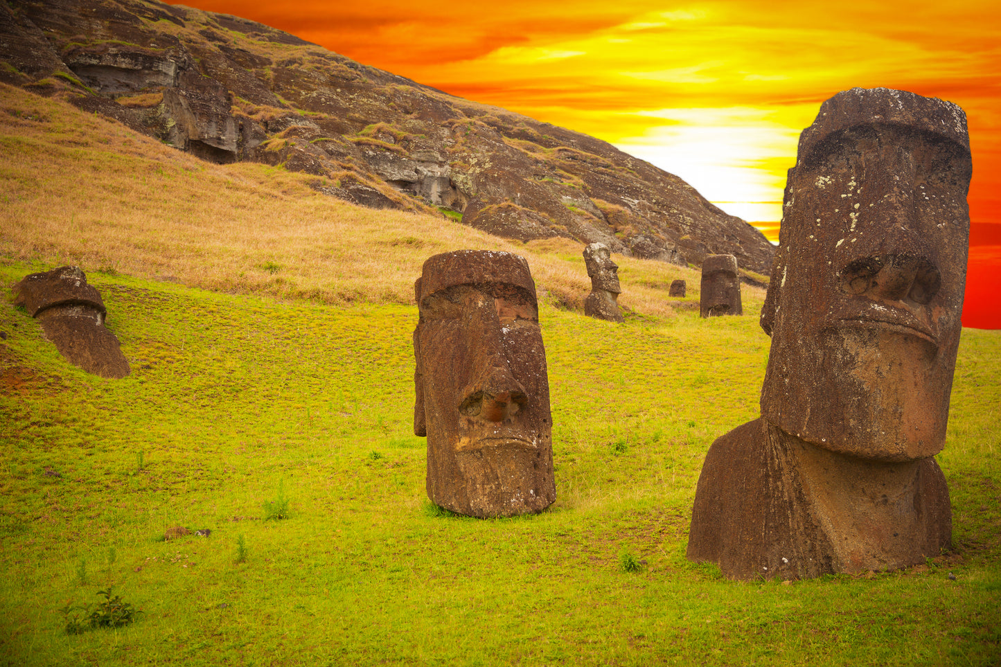 Easter Island and Galapagos Tour 615